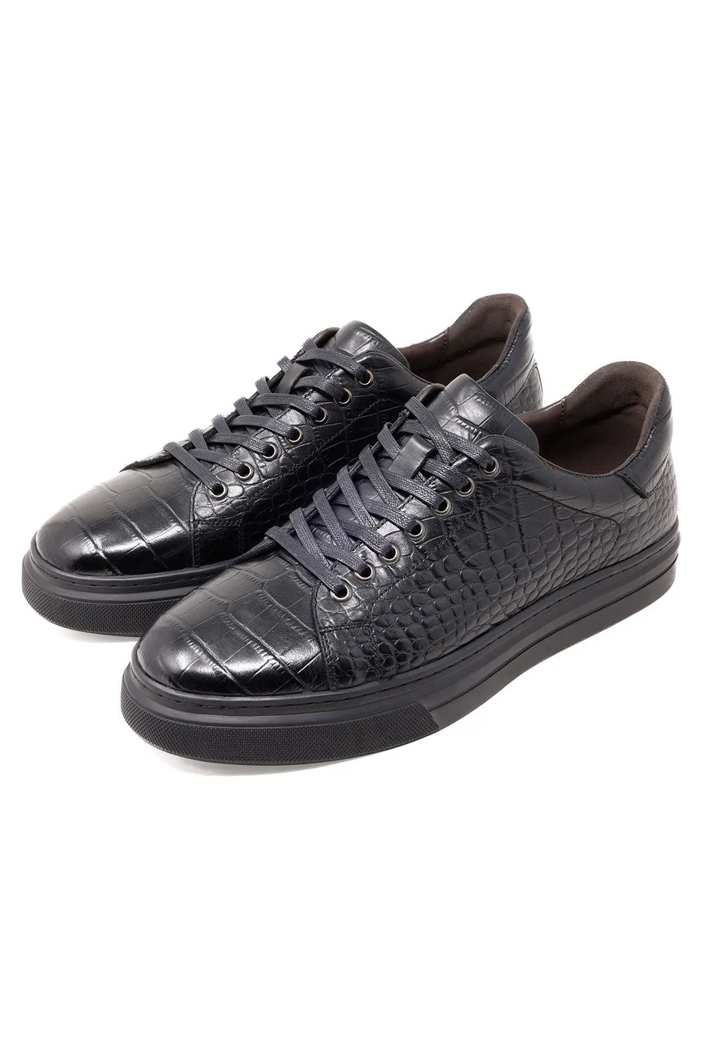 Serpent Flash Low Top Sneakers