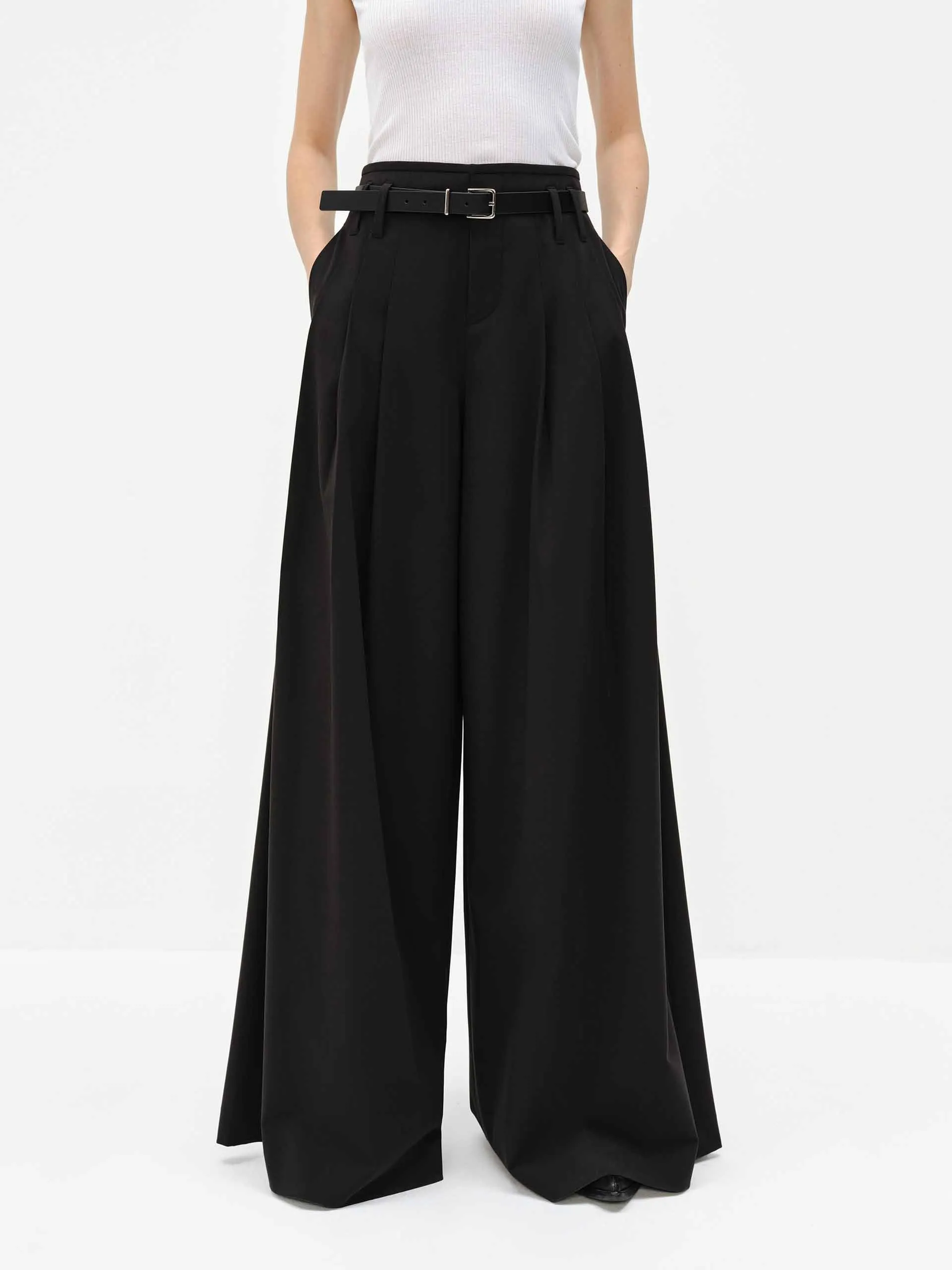 Wide Leg Belted Pants