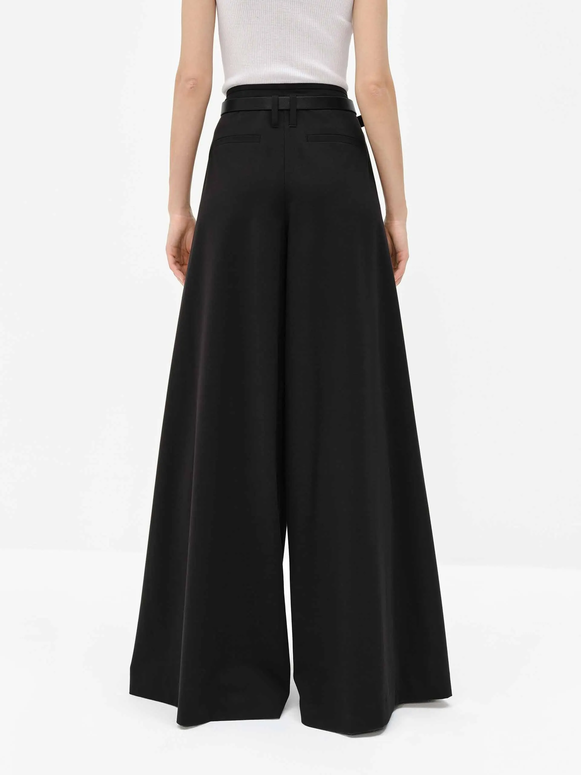 Wide Leg Belted Pants